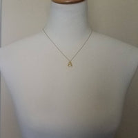 Little Gold Beetle Necklace, small beetle pendant, thin delicate 18in chain, rose June bug, 14K gold fill chain opt, 3D insect bug charm jewelry, gold bug necklace