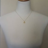 Little Gold Beetle Necklace, small beetle pendant, thin delicate 18in chain, rose June bug, 14K gold fill chain opt, 3D insect bug charm jewelry, gold bug necklace