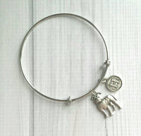 Pit Bull Bracelet, pittie jewelry, pit bull mom, silver bangle bracelet, pit bull dog bracelet, personalized bracelet American Terrier puppy - Constant Baubling