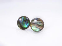 Shell Stud Earrings, seashell stud, small round stud, paua shell earring, blue green shell, seashell earring, hypoallergenic earring, beach - Constant Baubling