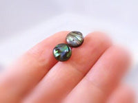 Shell Stud Earrings, seashell stud, small round stud, paua shell earring, blue green shell, seashell earring, hypoallergenic earring, beach - Constant Baubling